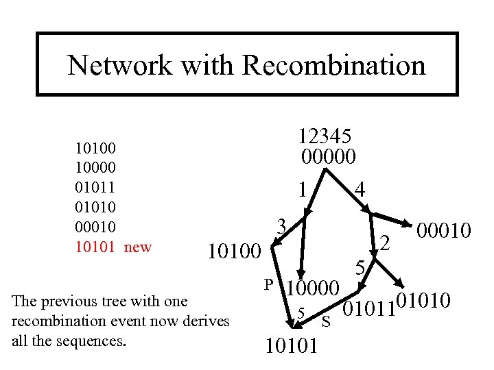 Network with Recombination 10100 10000 01011 01010 00010 10101 new 12345 00000 1 4