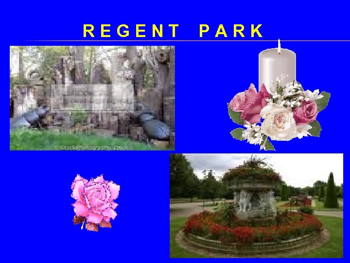 REGENT PARK 
