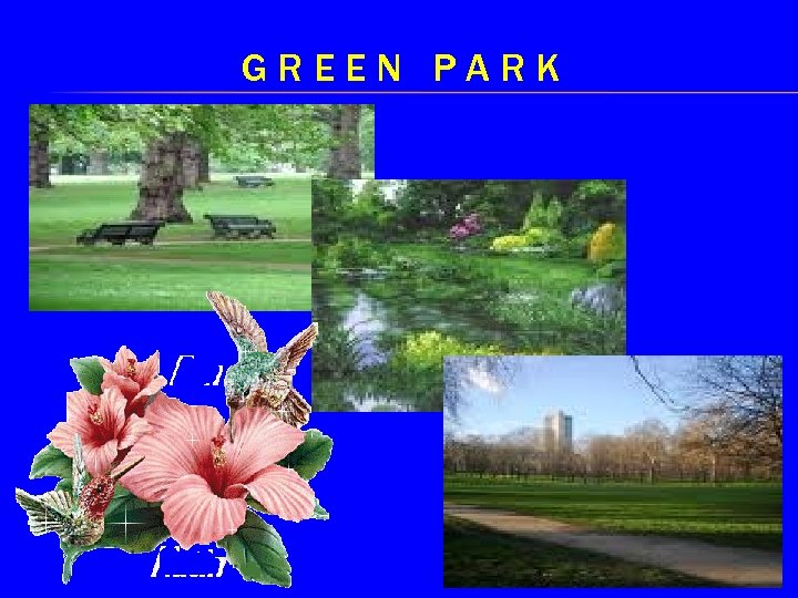 GREEN PARK 
