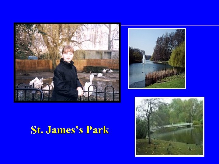 St. James’s Park 