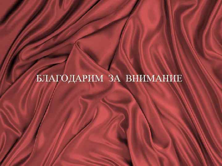 БЛАГОДАРИМ ЗА ВНИМАНИЕ 