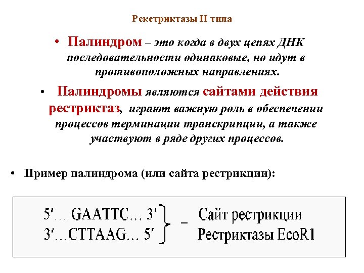 Рекстриктазы II типа • Палиндром – это когда в двух цепях ДНК последовательности одинаковые,