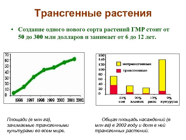 Трансгенные растения • Создание одного нового сорта растений ГМР стоит от 50 до 300