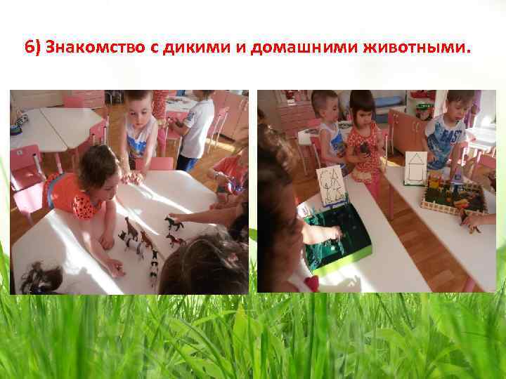 6) Знакомство с дикими и домашними животными. 