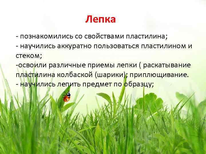 Лепка - познакомились со свойствами пластилина; - научились аккуратно пользоваться пластилином и стеком; -освоили