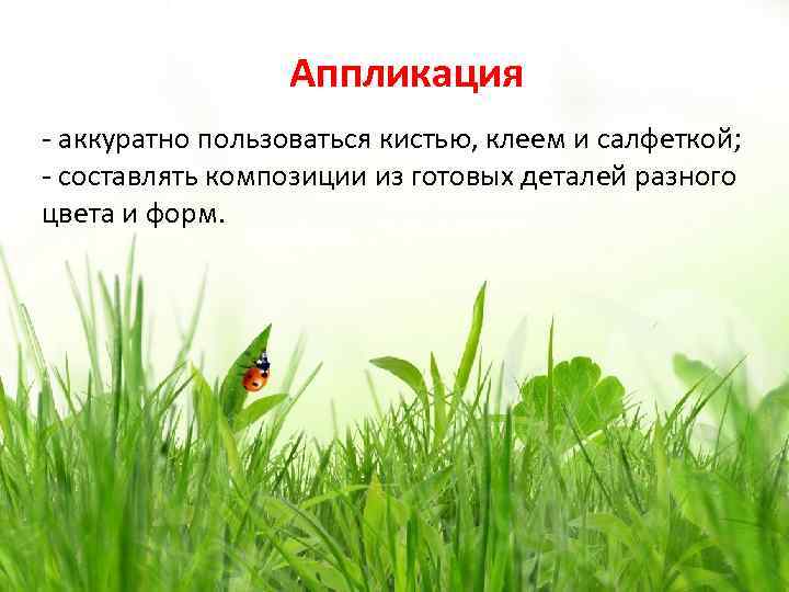 Аппликация - аккуратно пользоваться кистью, клеем и салфеткой; - составлять композиции из готовых деталей