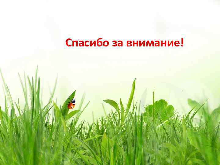 Спасибо за внимание! 