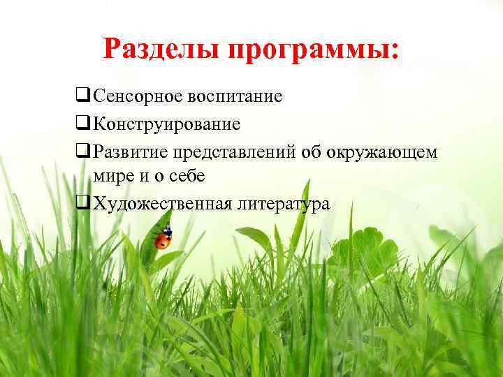 Разделы программы: q Сенсорное воспитание q Конструирование q Развитие представлений об окружающем мире и