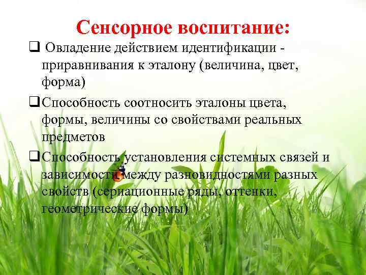 Сенсорное воспитание: q Овладение действием идентификации приравнивания к эталону (величина, цвет, форма) q Способность