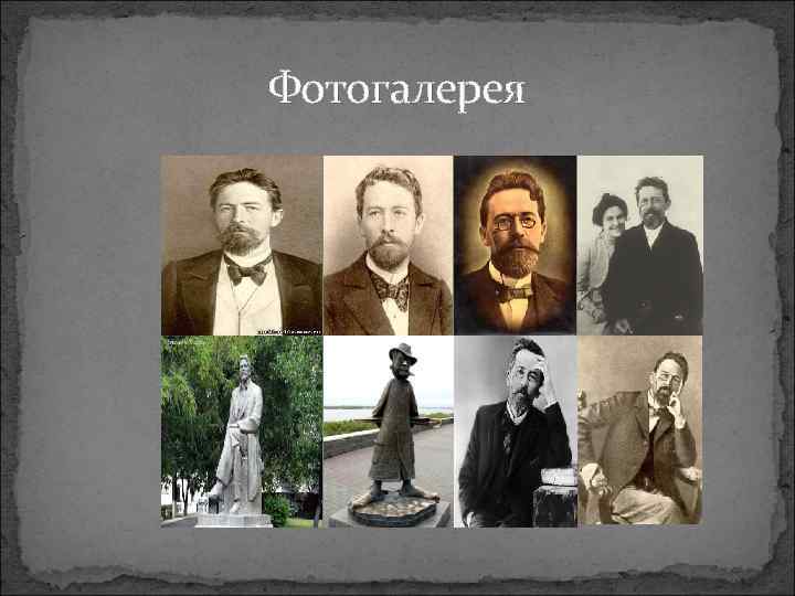 Фотогалерея 