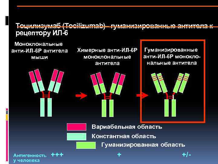 Химерные изображения интерпретация