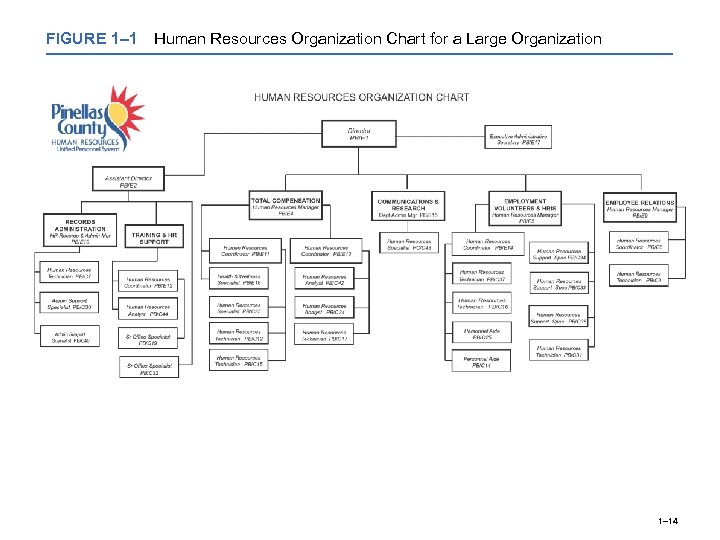 FIGURE 1– 1 Human Resources Organization Chart for a Large Organization 1– 14 