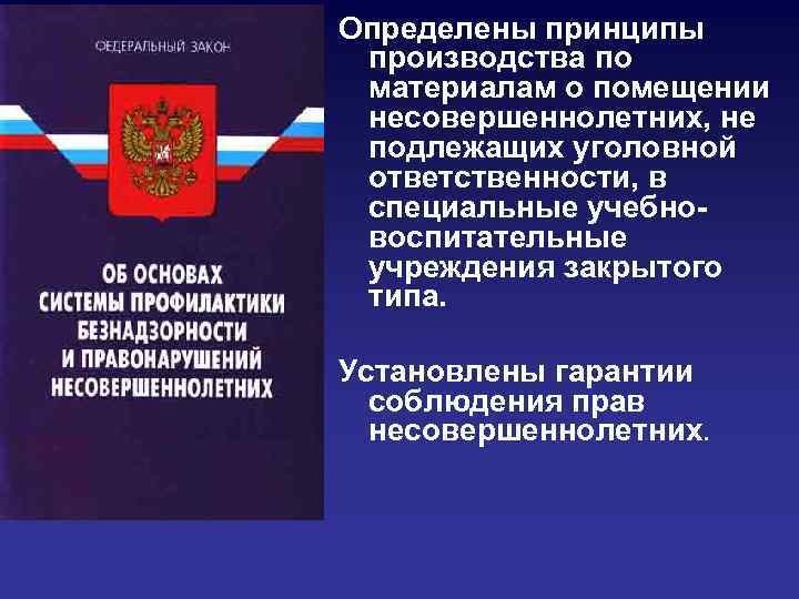 Определены принципы производства по материалам о помещении несовершеннолетних, не подлежащих уголовной ответственности, в специальные