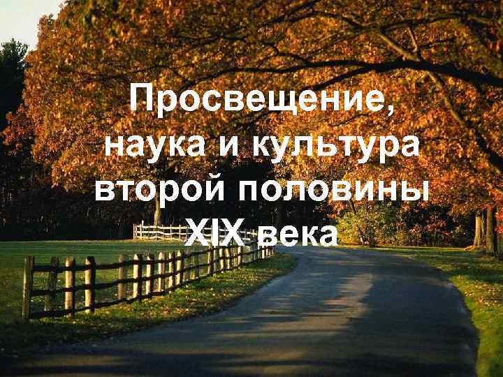 Просвещение, наука и культура второй половины XIX века 