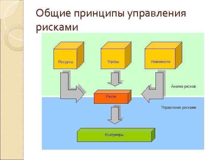 Общие принципы управления рисками 