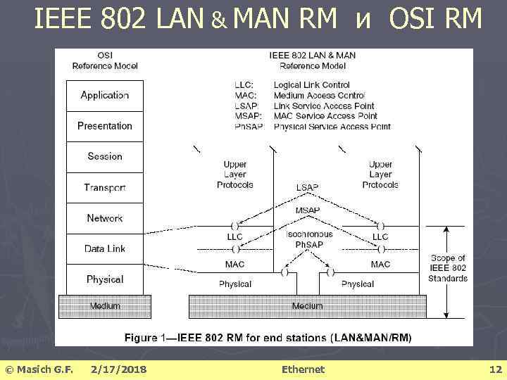 IEEE 802 LAN & MAN RM и OSI RM © Masich G. F. 2/17/2018