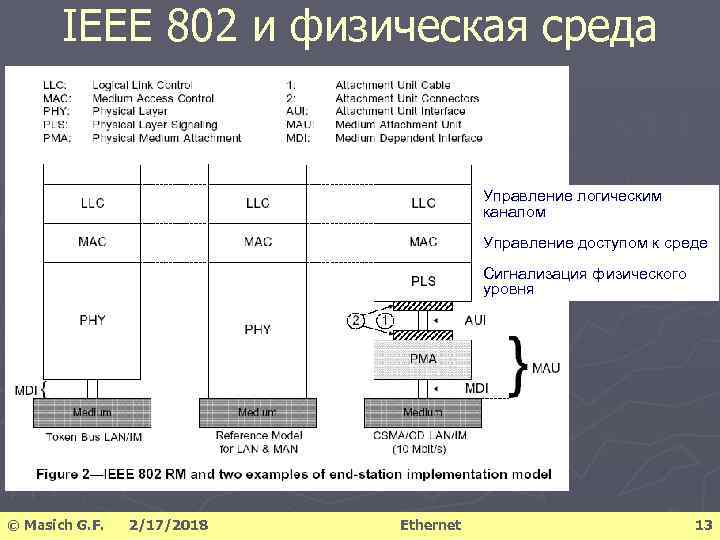 IEEE 802 и физическая среда Управление логическим каналом Управление доступом к среде Сигнализация физического