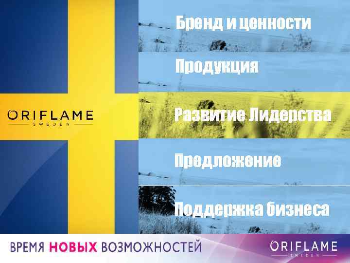 Бренд и ценности Продукция Развитие Лидерства Предложение Поддержка бизнеса 