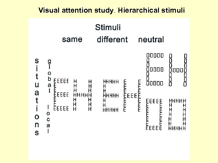 Visual attention study. Hierarchical stimuli 
