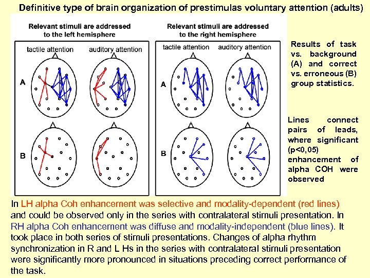 Definitive type of brain organization of prestimulas voluntary attention (adults) Results of task vs.