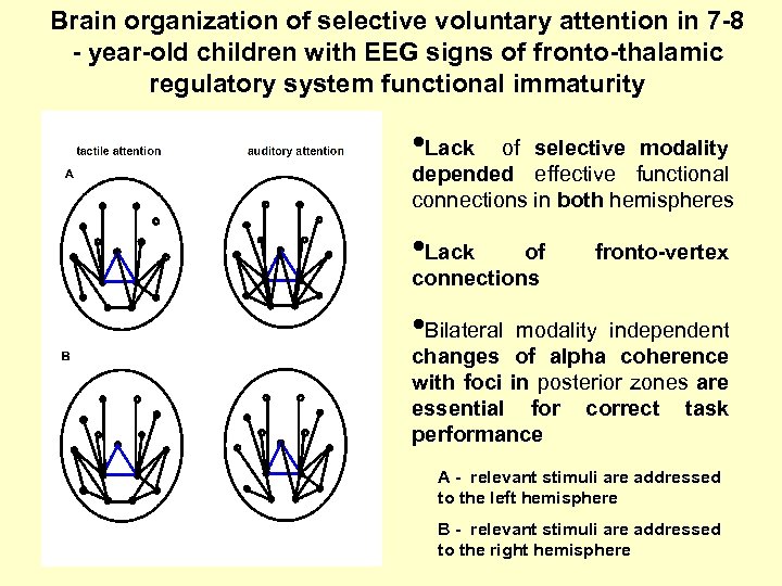 Brain organization of selective voluntary attention in 7 -8 - year-old children with EEG