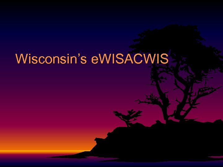 Wisconsin’s e. WISACWIS 