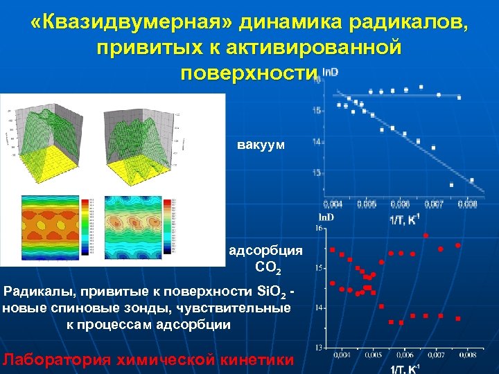  «Квазидвумерная» динамика радикалов, привитых к активированной поверхности вакуум адсорбция СО 2 Радикалы, привитые