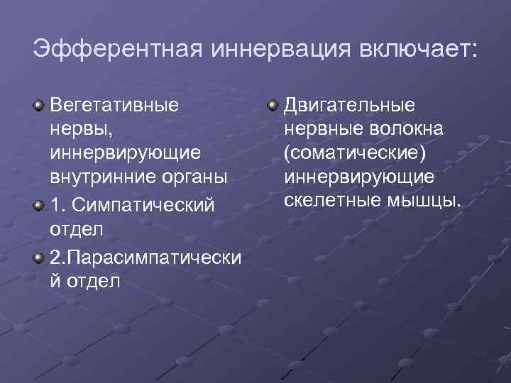 Эфферентная иннервация включает: Вегетативные нервы, иннервирующие внутринние органы 1. Симпатический отдел 2. Парасимпатически й