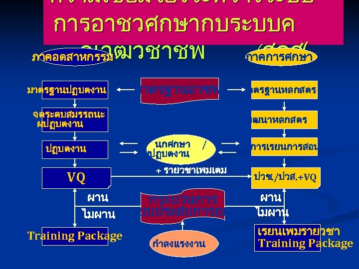 ความเชอมโยงระหวางระบบ การอาชวศกษากบระบบค ณวฒวชาชพ (สอศ( ภาคอตสาหกรรม ภาคการศกษา มาตรฐานปฏบตงาน มาตรฐานอาชพ จดระดบสมรรถนะ ผปฏบตงาน VQ พฒนาหลกสตร นกศกษา ผปฏบตงาน