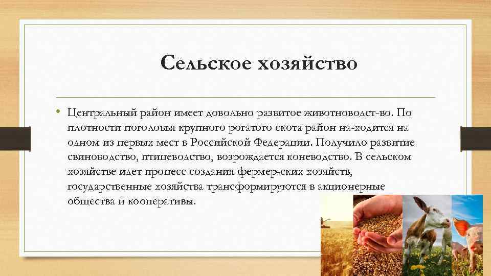 Сельское хозяйство • Центральный район имеет довольно развитое животноводст во. По плотности поголовья крупного