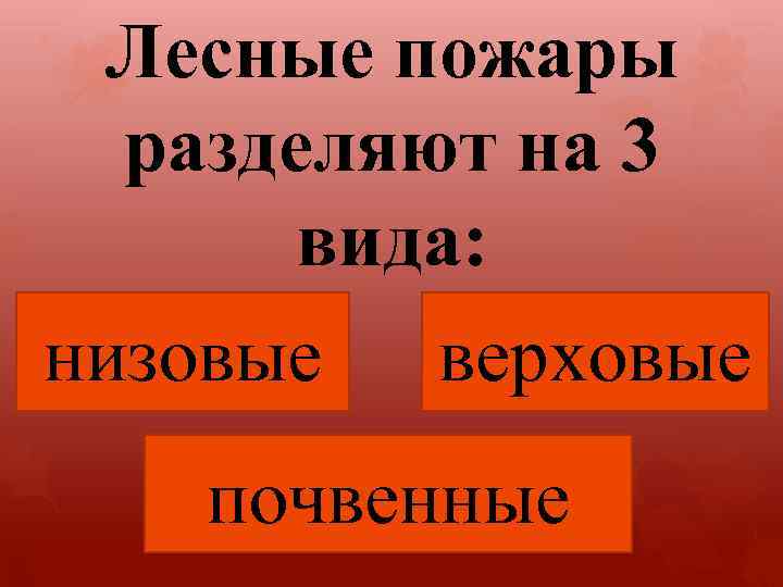 Лесные пожары разделяют на 3 вида: низовые верховые почвенные 