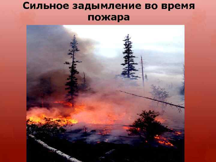 Сильное задымление во время пожара 