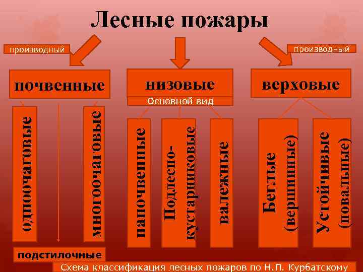 Лесные пожары производный почвенные низовые верховые (повальные) Устойчивые (вершинные) Беглые валежные Подлесно кустарниковые напочвенные