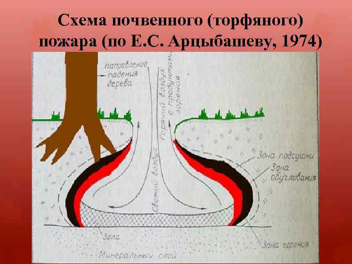 Схема лесных пожаров