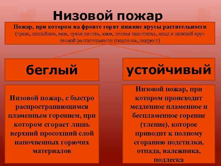 Низовой пожар Пожар, при котором на фронте горят нижние ярусы растительности (трава, лишайник, мох,