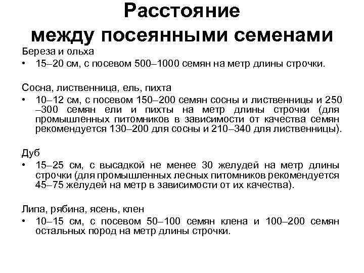 Расстояние между посеянными семенами Береза и ольха • 15– 20 см, с посевом 500–