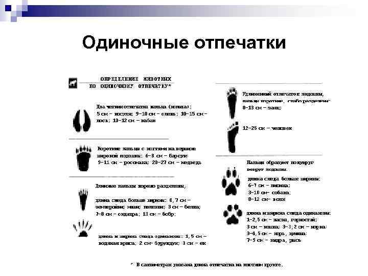 Одиночные отпечатки 