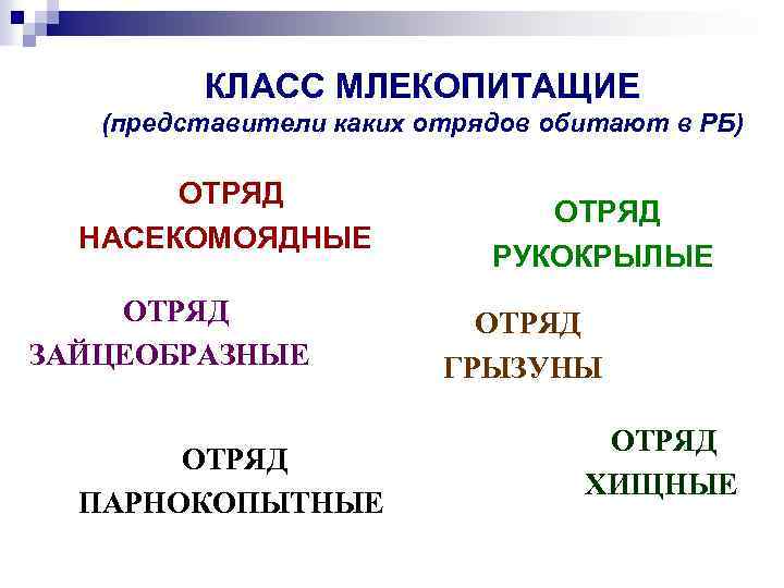КЛАСС МЛЕКОПИТАЩИЕ (представители каких отрядов обитают в РБ) ОТРЯД НАСЕКОМОЯДНЫЕ ОТРЯД ЗАЙЦЕОБРАЗНЫЕ ОТРЯД ПАРНОКОПЫТНЫЕ