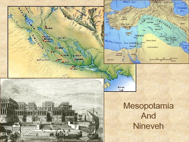 Mesopotamia And Nineveh 