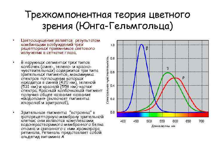 Теория цветового зрения