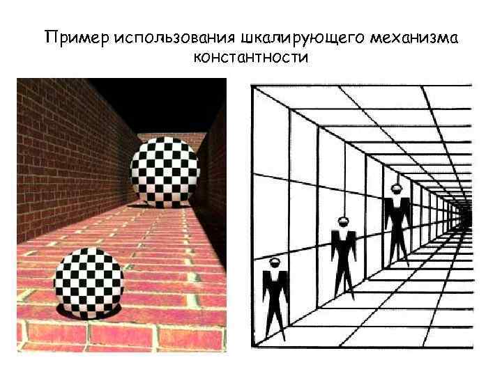 Пример использования шкалирующего механизма константности 