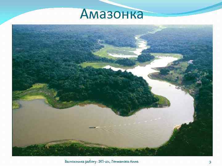 Амазонка Выполнила работу: ЭП-101, Гетманова Анна 3 