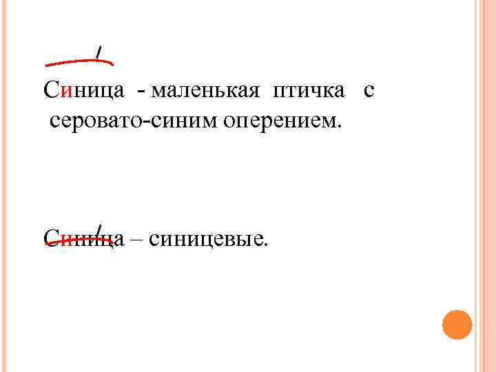 Синица - маленькая птичка с серовато-синим оперением. Синица – синицевые. 