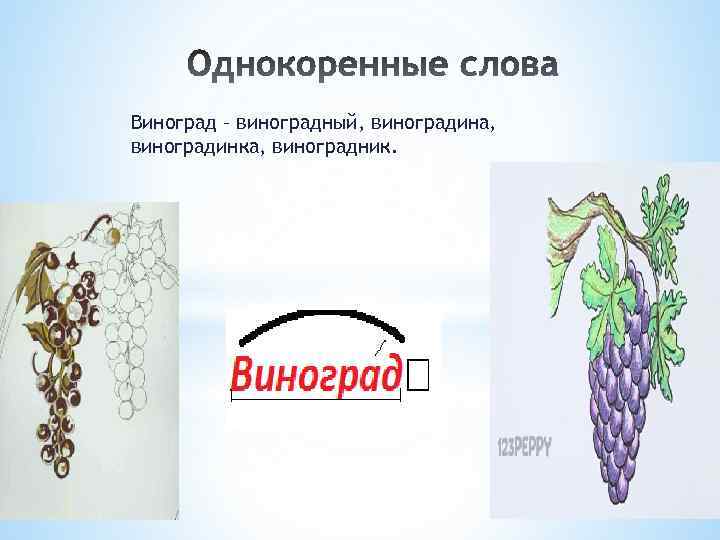 Виноград – виноградный, виноградина, виноградинка, виноградник. 
