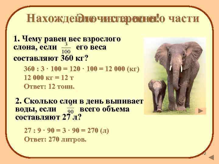 Нахождение числа по его части Это интересно! 1. Чему равен вес взрослого слона, если