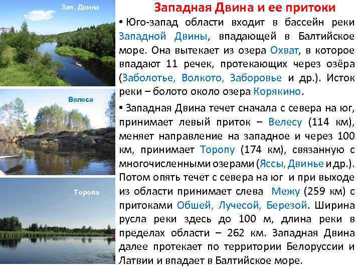 Зап. Двина Велеса Торопа Западная Двина и ее притоки • Юго-запад области входит в