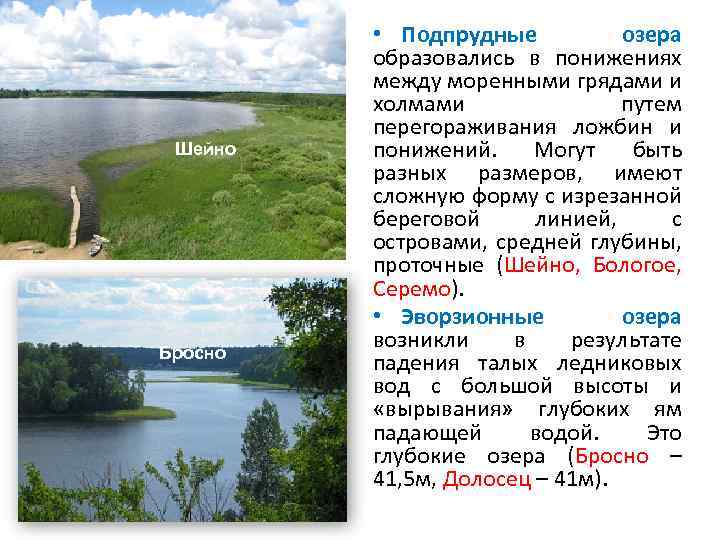 Шейно Бросно • Подпрудные озера образовались в понижениях между моренными грядами и холмами путем