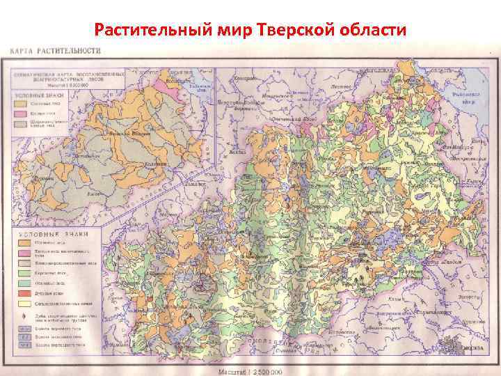 Геологическая карта курской области