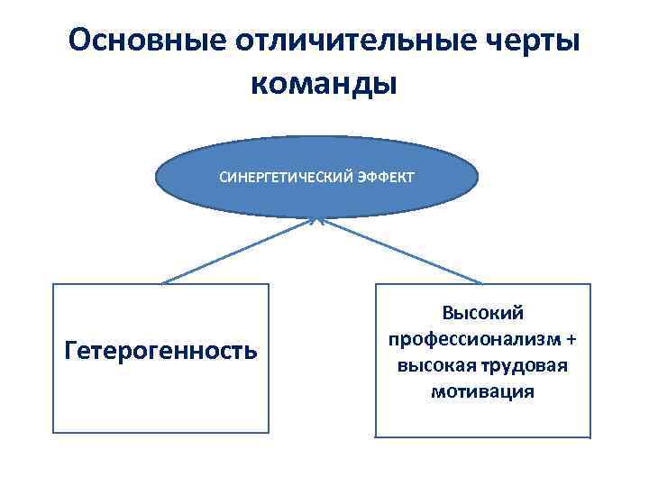 Основные отличительные черты команды СИНЕРГЕТИЧЕСКИЙ ЭФФЕКТ Гетерогенность Высокий профессионализм + высокая трудовая мотивация 