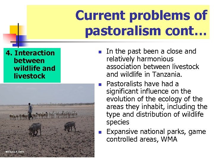 Current problems of pastoralism cont… 4. Interaction between wildlife and livestock n n n